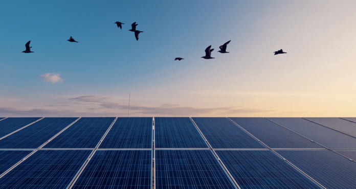 Metlen: Ξεκινά φωτοβολταϊκό έργο 136 MWp στη Νέα Ζηλανδία για τη Genesis Energy